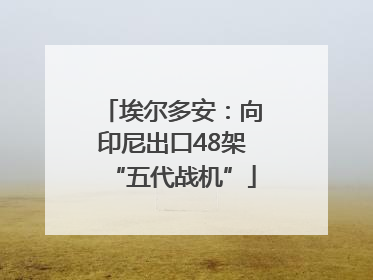 埃尔多安：向印尼出口48架“五代战机”