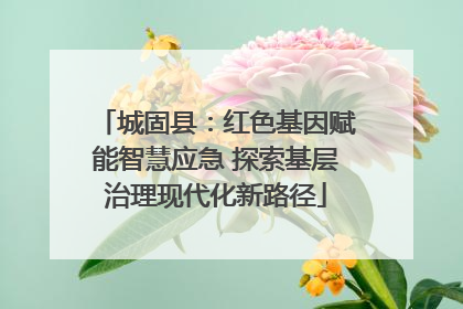 城固县：红色基因赋能智慧应急 探索基层治理现代化新路径