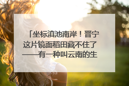 坐标滇池南岸！晋宁这片镜面稻田藏不住了——有一种叫云南的生活之365天