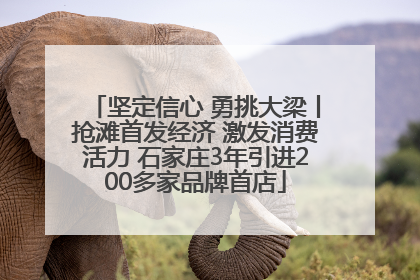 坚定信心 勇挑大梁丨抢滩首发经济 激发消费活力 石家庄3年引进200多家品牌首店