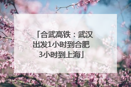 合武高铁：武汉出发1小时到合肥3小时到上海