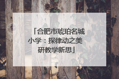 合肥市琥珀名城小学：探律动之美 研教学新思
