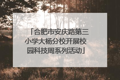 合肥市安庆路第三小学大杨分校开展校园科技周系列活动