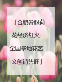 合肥暑假荷花经济红火 全国多地花艺文创销售旺