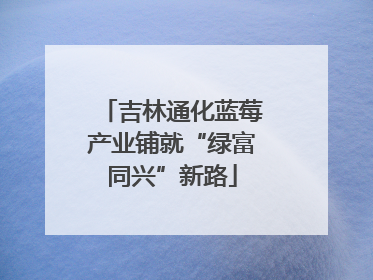 吉林通化蓝莓产业铺就“绿富同兴”新路