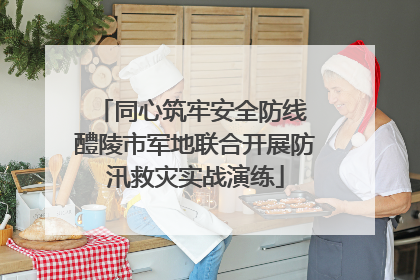 同心筑牢安全防线 醴陵市军地联合开展防汛救灾实战演练