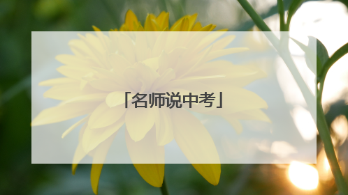名师说中考