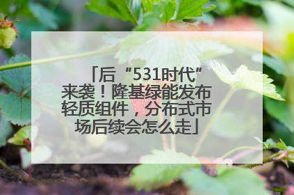 后“531时代”来袭！隆基绿能发布轻质组件，分布式市场后续会怎么走