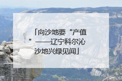 向沙地要“产值”——辽宁科尔沁沙地兴绿见闻