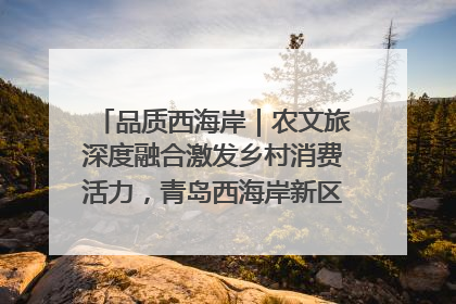 品质西海岸｜农文旅深度融合激发乡村消费活力，青岛西海岸新区的乡村振兴实践