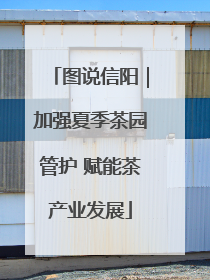 图说信阳｜加强夏季茶园管护 赋能茶产业发展