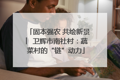 固本强农 共绘新景 ︳卫辉市南社村：蔬菜村的“链”动力