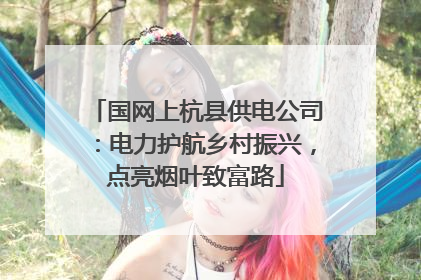 国网上杭县供电公司：电力护航乡村振兴，点亮烟叶致富路