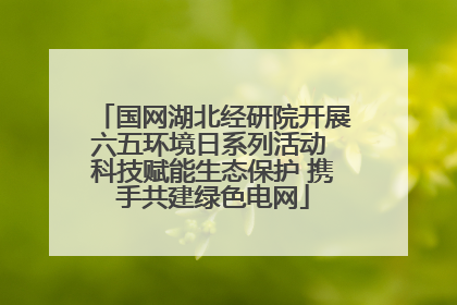 国网湖北经研院开展六五环境日系列活动 科技赋能生态保护 携手共建绿色电网
