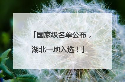 国家级名单公布，湖北一地入选！