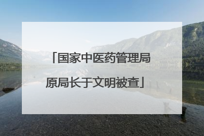 国家中医药管理局原局长于文明被查