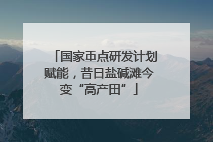 国家重点研发计划赋能，昔日盐碱滩今变“高产田”