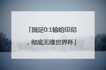 国足0:1输给印尼，彻底无缘世界杯