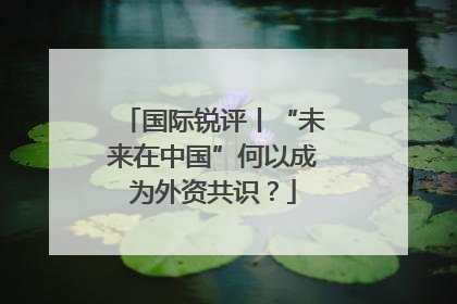 国际锐评丨“未来在中国”何以成为外资共识？