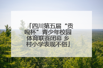 四川第五届“贡嘎杯”青少年校园体育联赛闭幕 乡村小学表现不俗