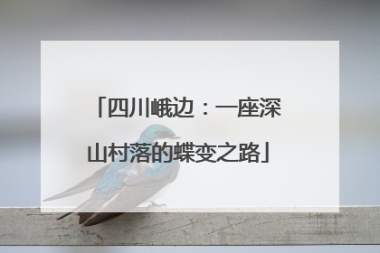 四川峨边：一座深山村落的蝶变之路