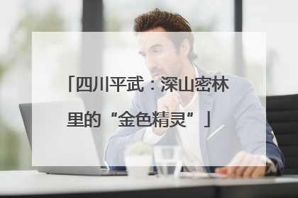 四川平武：深山密林里的“金色精灵”