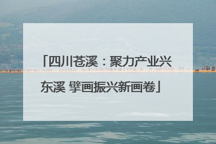 四川苍溪：聚力产业兴东溪 擘画振兴新画卷