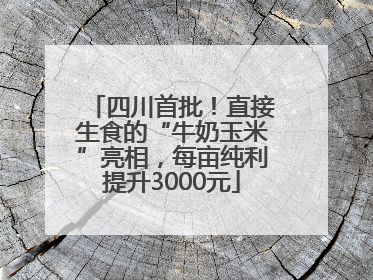 四川首批！直接生食的“牛奶玉米”亮相，每亩纯利提升3000元