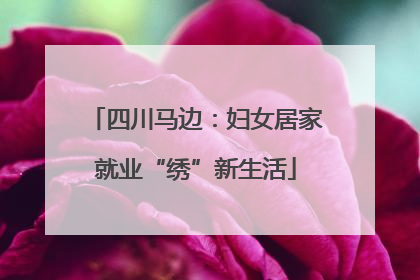 四川马边：妇女居家就业“绣”新生活