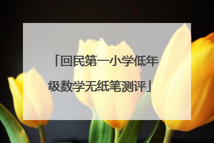 回民第一小学低年级数学无纸笔测评