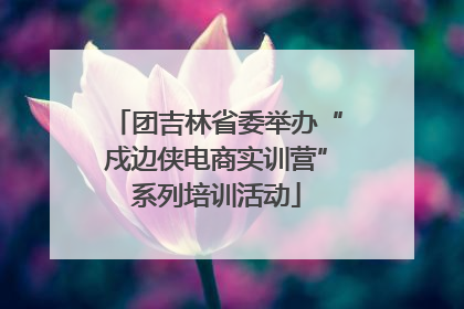 团吉林省委举办“戍边侠电商实训营”系列培训活动