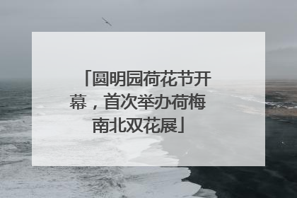 圆明园荷花节开幕，首次举办荷梅南北双花展