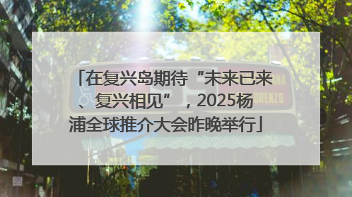 在复兴岛期待“未来已来、复兴相见”，2025杨浦全球推介大会昨晚举行