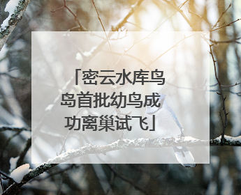 密云水库鸟岛首批幼鸟成功离巢试飞