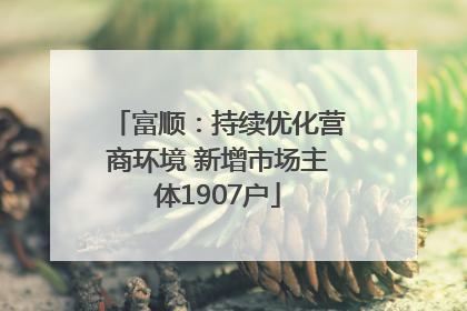富顺：持续优化营商环境 新增市场主体1907户
