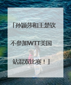 孙颖莎和王楚钦不参加WTT美国站混双比赛！