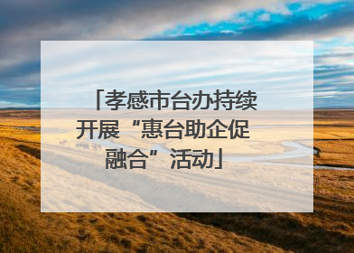 孝感市台办持续开展“惠台助企促融合”活动