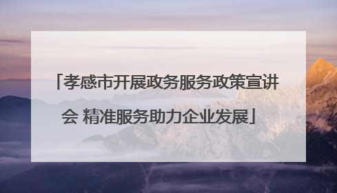 孝感市开展政务服务政策宣讲会 精准服务助力企业发展