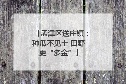 孟津区送庄镇：种瓜不见土 田野更“多金”