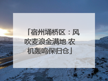 宿州埇桥区：风吹麦浪金满地 农机轰鸣保归仓