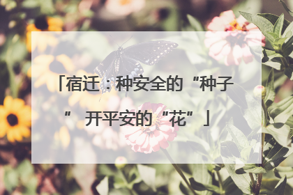 宿迁：种安全的“种子” 开平安的“花”