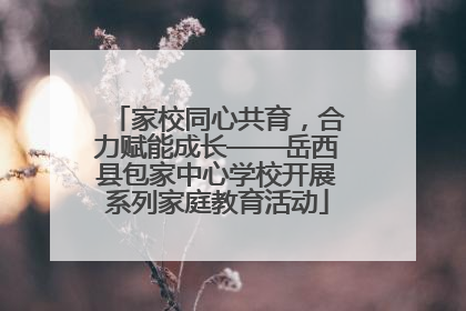 家校同心共育，合力赋能成长——岳西县包家中心学校开展系列家庭教育活动