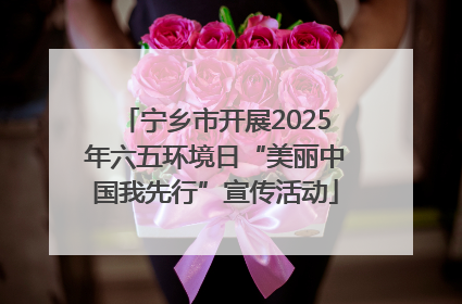 宁乡市开展2025年六五环境日“美丽中国我先行”宣传活动