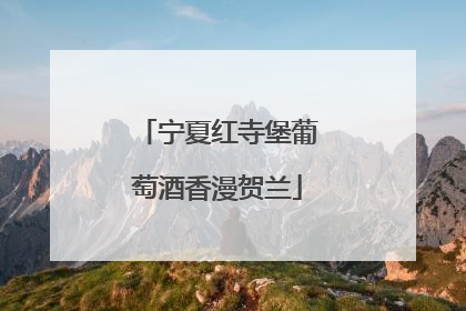 宁夏红寺堡葡萄酒香漫贺兰