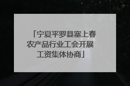 宁夏平罗县塞上春农产品行业工会开展工资集体协商