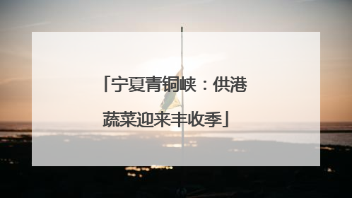 宁夏青铜峡：供港蔬菜迎来丰收季