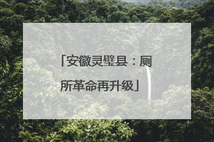 安徽灵璧县：厕所革命再升级