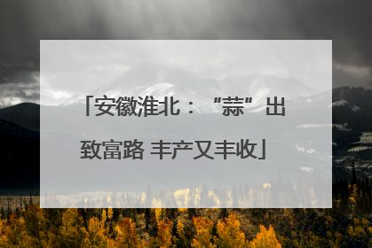 安徽淮北：“蒜”出致富路 丰产又丰收