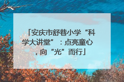 安庆市舒巷小学“科学大讲堂”：点亮童心，向“光”而行