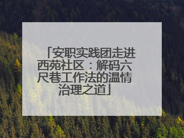 安职实践团走进西苑社区：解码六尺巷工作法的温情治理之道